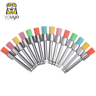 Wholesale Colorful Dental Prophy Flat Polishing Brushes Dental Nylon Prophy Brush