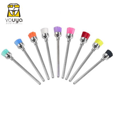 Latch Type Flat Dental Nylon Polishing Prophy Brushes For Sale